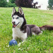 你是要 丶上天呐