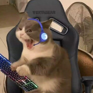 VenNoMaX