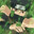shisui