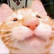 SlovakianKaktus avatar