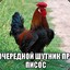 Генерал Жмышенко