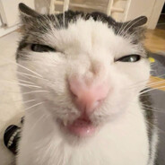 puosgeri's avatar