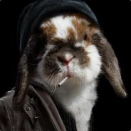 mike[vAMP] - steam id 76561197971724149