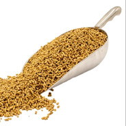 PaszaTricepsSKINS.army