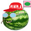 Flat-earther Watermelon