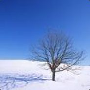 324 - steam id 76561197983395645