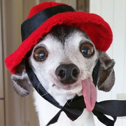 Фуфырик Петрович