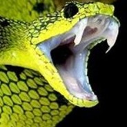Snekboi