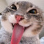 :P