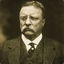 Theodore Roosevelt