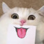 yOBy