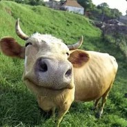 我是世界上最帅的