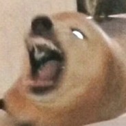 干拉然后玩手机