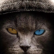 世界从不等我做好准备