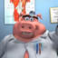 Dr Pig