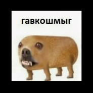 [СВЕРЕСТЯГА] ГАВЧ