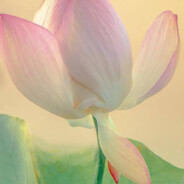 全哥你是真的帅