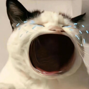 懒洋洋っ'-'-AK47