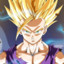 gohan srd