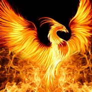 ProjektPhoenix