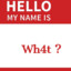 mynameisWH4T