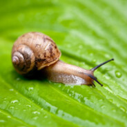 狂踹寡妇不开的门