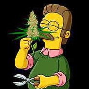 ned