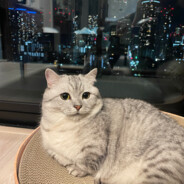 ヌーブルスキー