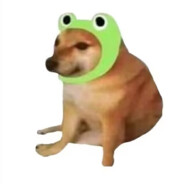 职业选手吕郑豪