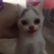 Модная Шалава