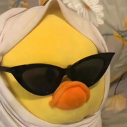 海鸥不再眷恋大海