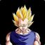 ssvegeta96