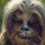 ¨°ºŢЯº°¨Chewie