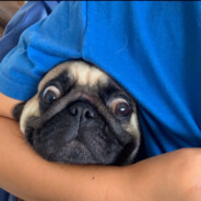 昨晚真的很一般