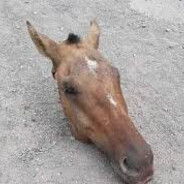 juanito
