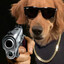 RUFF DOGG
