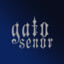 senor gato