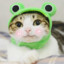 Guurio-ker
