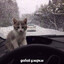 Чмоня