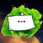 SrLechuga