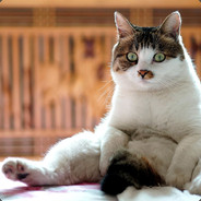 一顿操作零输出。