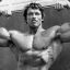 arnold schwarzenegger