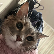 Sultan