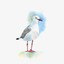 pigeon