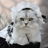 劳资是齐天大圣孙悟空