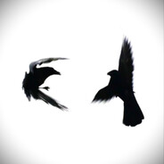 cy avatar