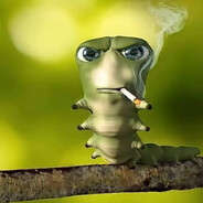 Пивной койл