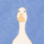 good goose
