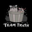 Trash Team