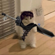 三角洲拜见APEX大人